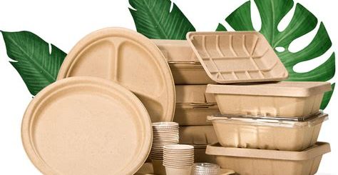 Bolsas y envases compostables colocados sobre mesa blanca